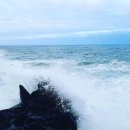 소풍민박 이미지