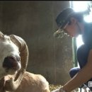 하나동물종합병원 이미지