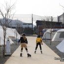 배경태인라인
