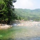 가평 숲속의 계곡 펜션 이미지