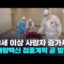 60세 이상 사망자 증가세 "개량백신 접종계획 곧 발표" 이미지