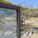 동아대학교 승학캠퍼스 이미지