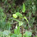 구봉이약수터 | 안산시 구봉도 해솔길 산책~~~2