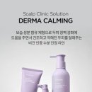 떼르헤어