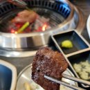 이가뼈짬뽕 | [역삼역 맛집] 미도갈비 역삼점 후기, 입에서 녹는 와규와 대형 테라스가 있는 완벽한 모임 장소!