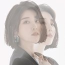 나비(NAVI) 이미지