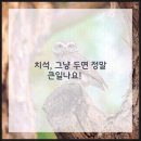 제이치과의원 이미지