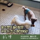 윤스피부미용