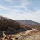 이평 2리 Daum카페