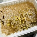 송천콩나물국밥 이미지