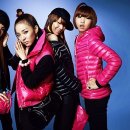 2NE1 카카오 검색결과