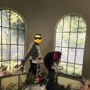 지니 나비 | 에버랜드 튤립축제 후기 2026, 개화상태 나비정원 가족 나들이 코스