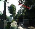 성북-돈암-2105 네이버블로그