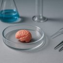 삼성1-254 이미지