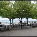 다운타운 이미지