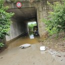 양편농장 이미지