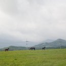 추석날 돌아본 운봉 이미지