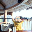 비고리조트 2 이미지