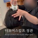 정관 두피케어 추천 | 더모어스칼프 베이직케어 여기가 무릉도원