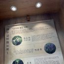 차향다원 | [정읍 당일치기] 아이랑 가볼만한 곳 장금이파크 오픈시간 원데이클래스 가격 후기 / 차향다원 족욕 카페