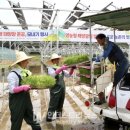 동서이태양광발전소 이미지