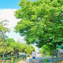 하북3길 이미지