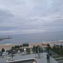 7번국도 동해대로(현북면) | 강원 양양 동해안 대형 오션뷰카페 빨간머리앤 P.E.i coffee 내돈내산 후기