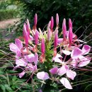 만해농장 이미지