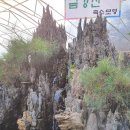 금강산흑염소전문점 이미지