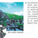 이상돈농장 | 나무로 맺은 인연… “중국은 소중한 이웃 나무”/동아일보 2015-09-14