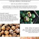 영희농장 이미지