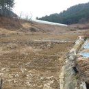 홍천군농업기술센터 남부지소 네이버블로그