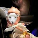 해비치수영장 | 제주도민이 다녀온 해비치 호텔 &amp; 리조트 방문기 수영장 후기(With 5개월 9개월 아기들)