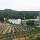 헤븐하우스