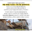 금평보건진료소 이미지