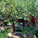 모두의양식 이미지