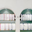 디오네 도그케어 이미지