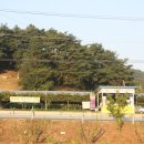 오수농장 Daum카페