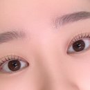 테오트리안양 | 안양 속눈썹펌, 유지력이 오래가는 안양역 속눈썹펌 [샵베베]