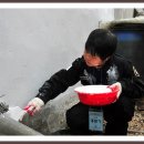 서울창신초등학교 이미지