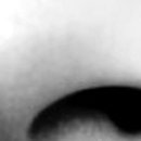 용봉위드치과의원 이미지