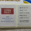 엘림비치 킹스테이 이미지