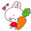 블레스투어주