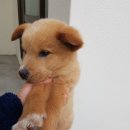 똥꼬발랄 Daum카페