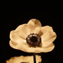 K행정사사무소 이미지