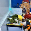 부메랑게임랜드 이미지