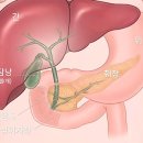 담대한외과의원 이미지