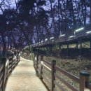 부안군 서림공원 무장애나눔길 투데이안