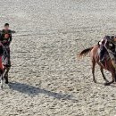 더마파크 공연장 이미지