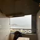 모네의 여름 이미지